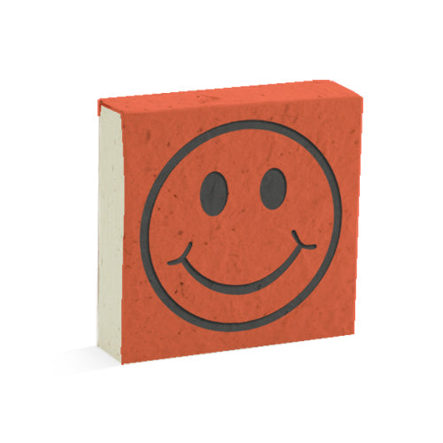 Pile-of-Smile Pre-Pak Cow POOPOOPAPER (80 pieces)