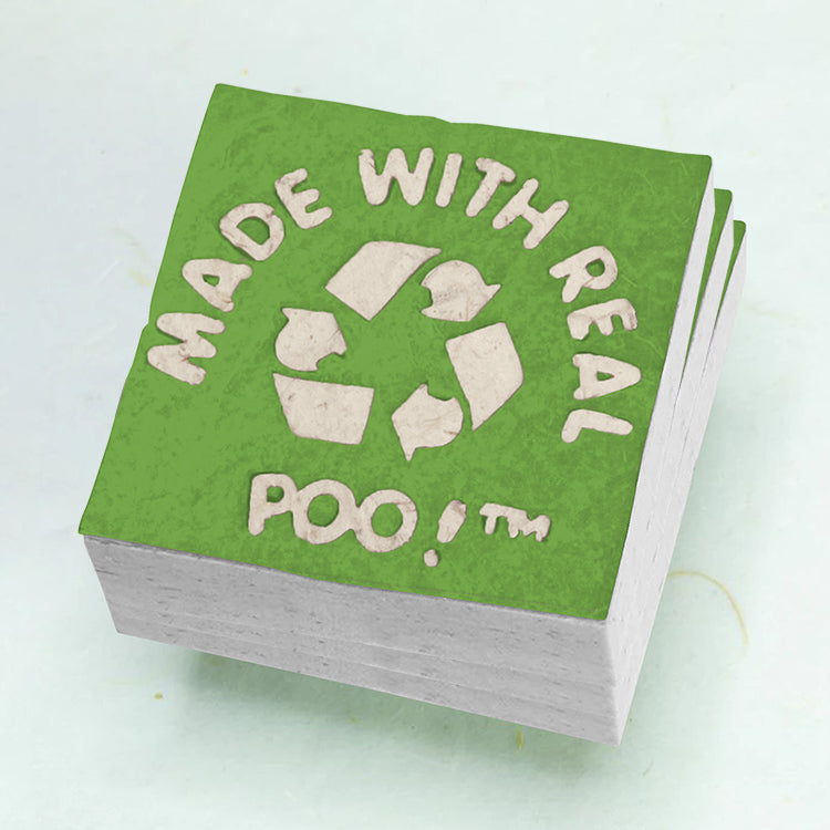 Made With Real Poo! - Elephant POOPOOPAPER - Green - Eco-friendly Scratch Pads (Set of 3) front stacked