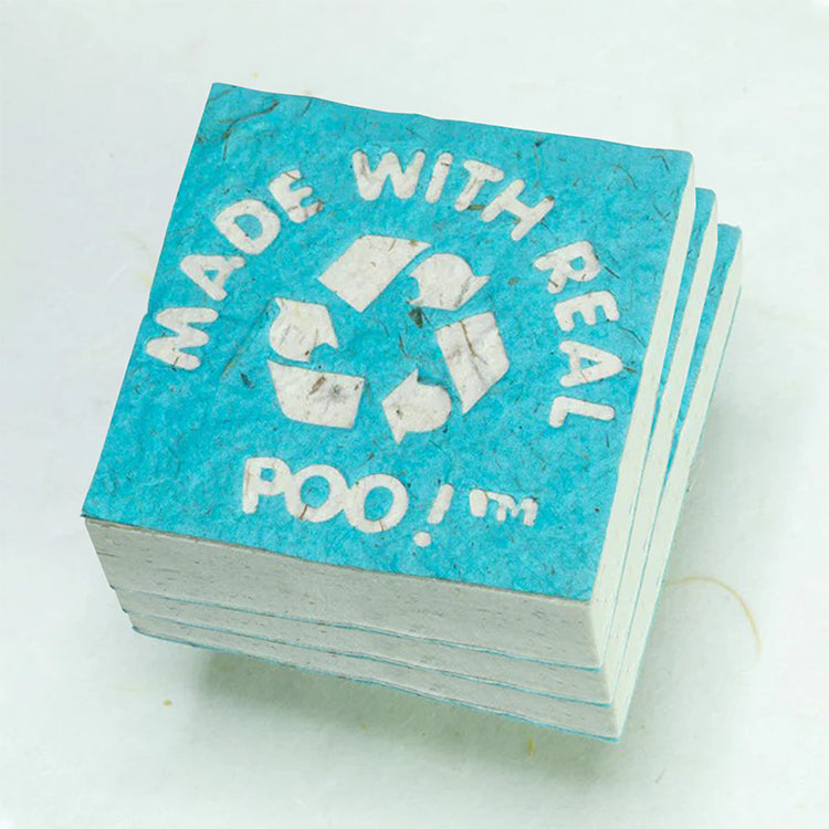 Made With Real Poo! - Elephant POOPOOPAPER - Blue - Eco-friendly Scratch Pads (Set of 3) front stacked