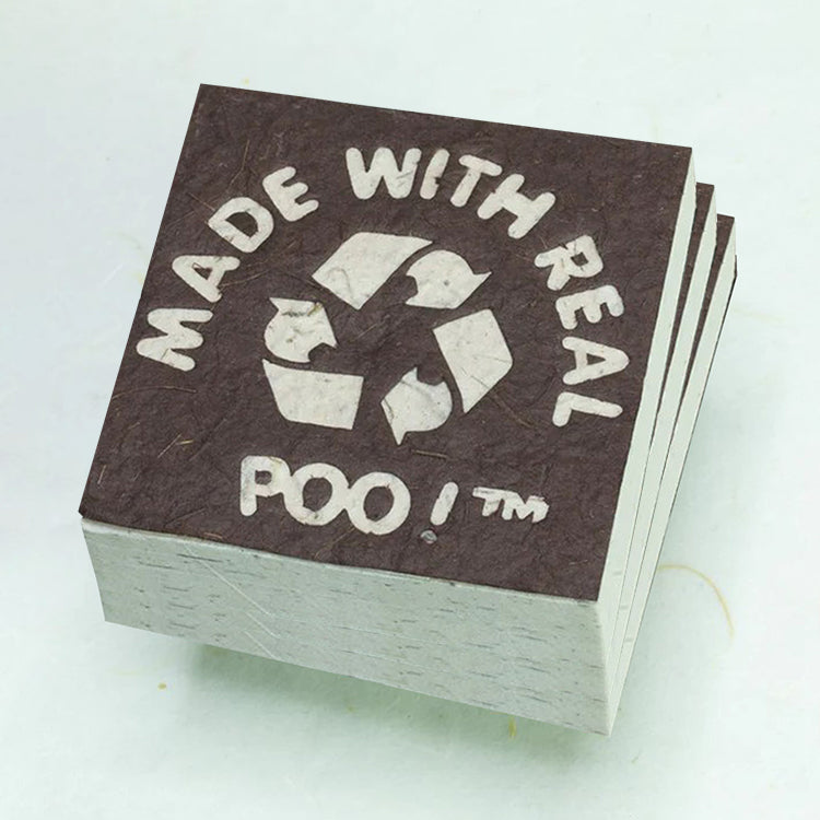 Horse Poo Eco-friendly Scratch Pad (Set of 3) in brown - front