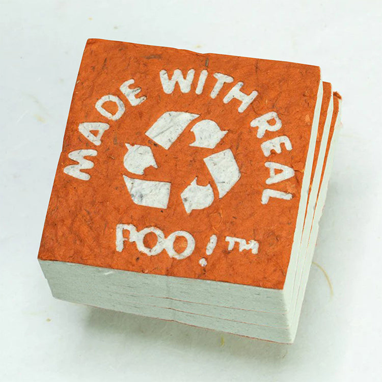 Made With Real Poo! - Horse POOPOOPAPER - Orange - Eco-friendly Scratch Pads (Set of 3) front stacked