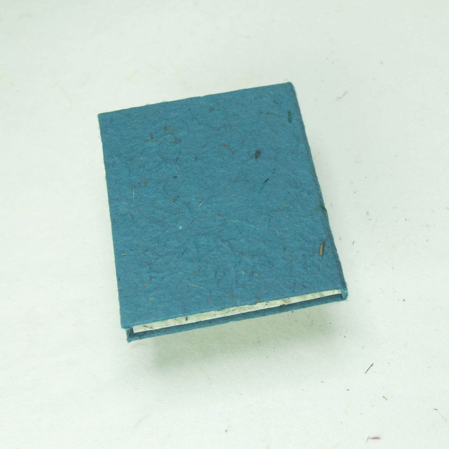 Classic POOPOOPAPER mini eco-friendly journals and notebooks blue detail back