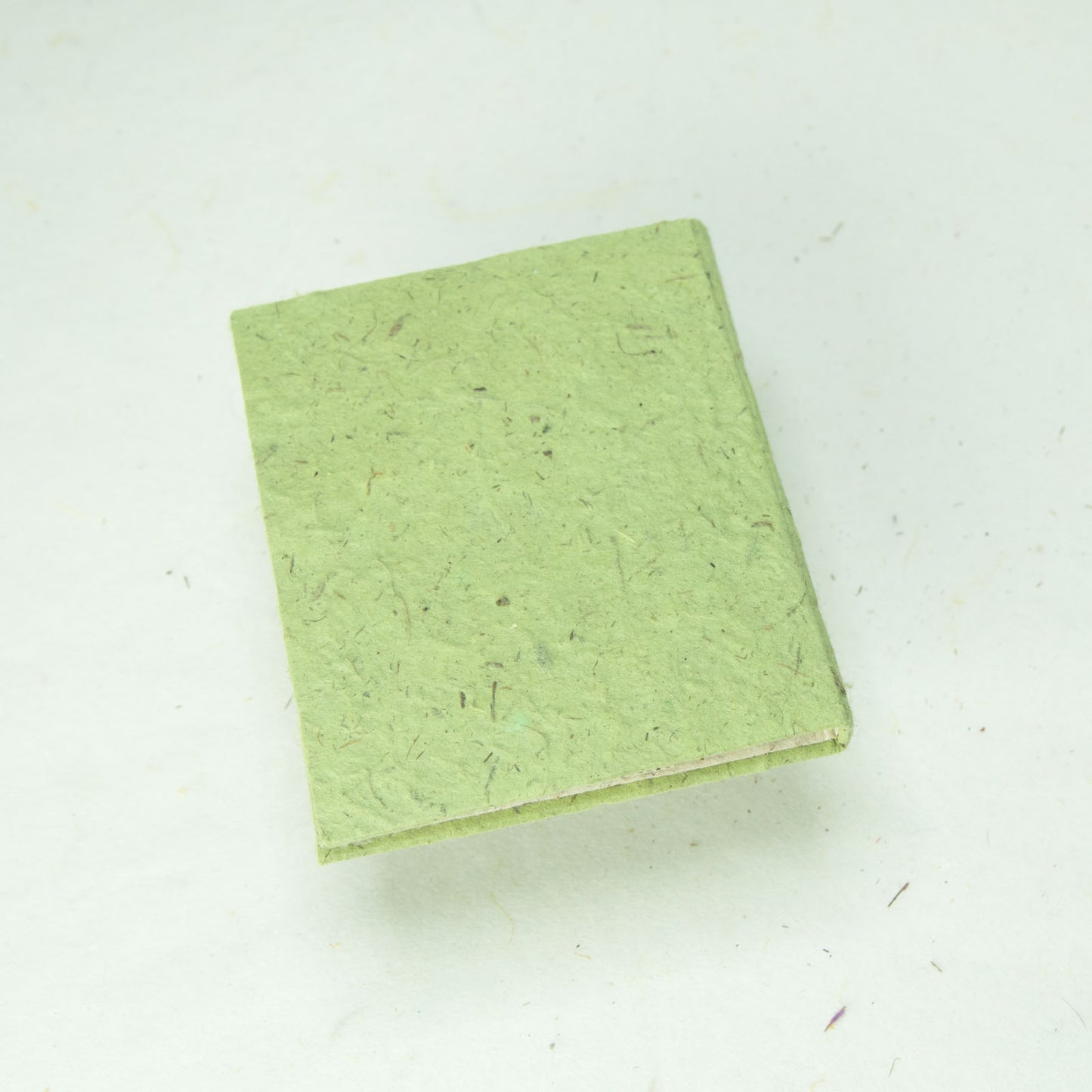 Classic POOPOOPAPER mini eco-friendly journals and notebooks grass back detail
