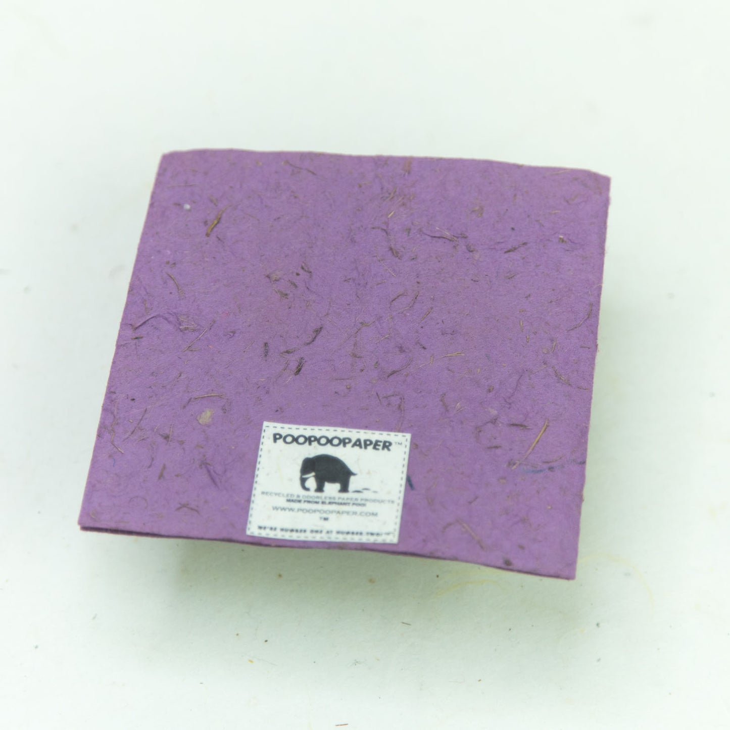 Flower Garden - eco-friendly Greeting Card - Single purple Flower back
