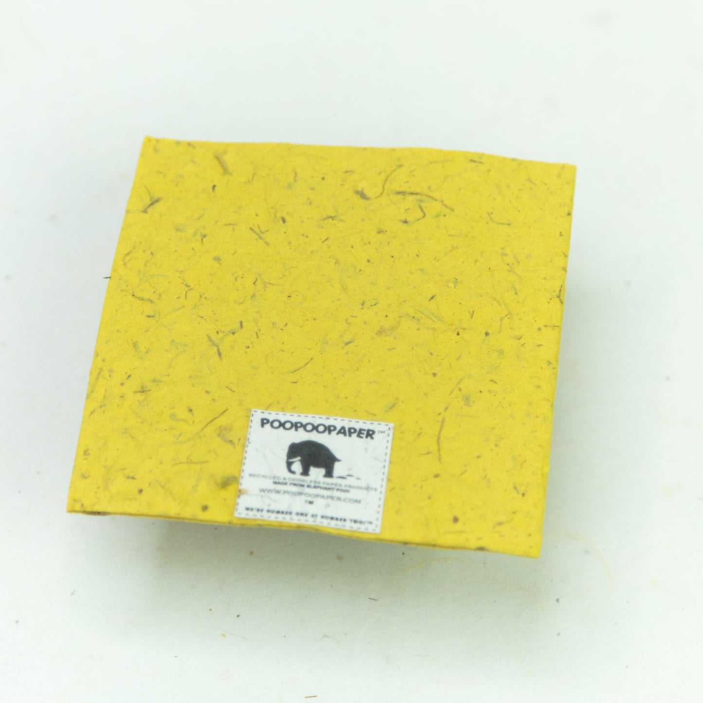 Flower Garden - eco-friendly Greeting Card - Single yellow Flower back