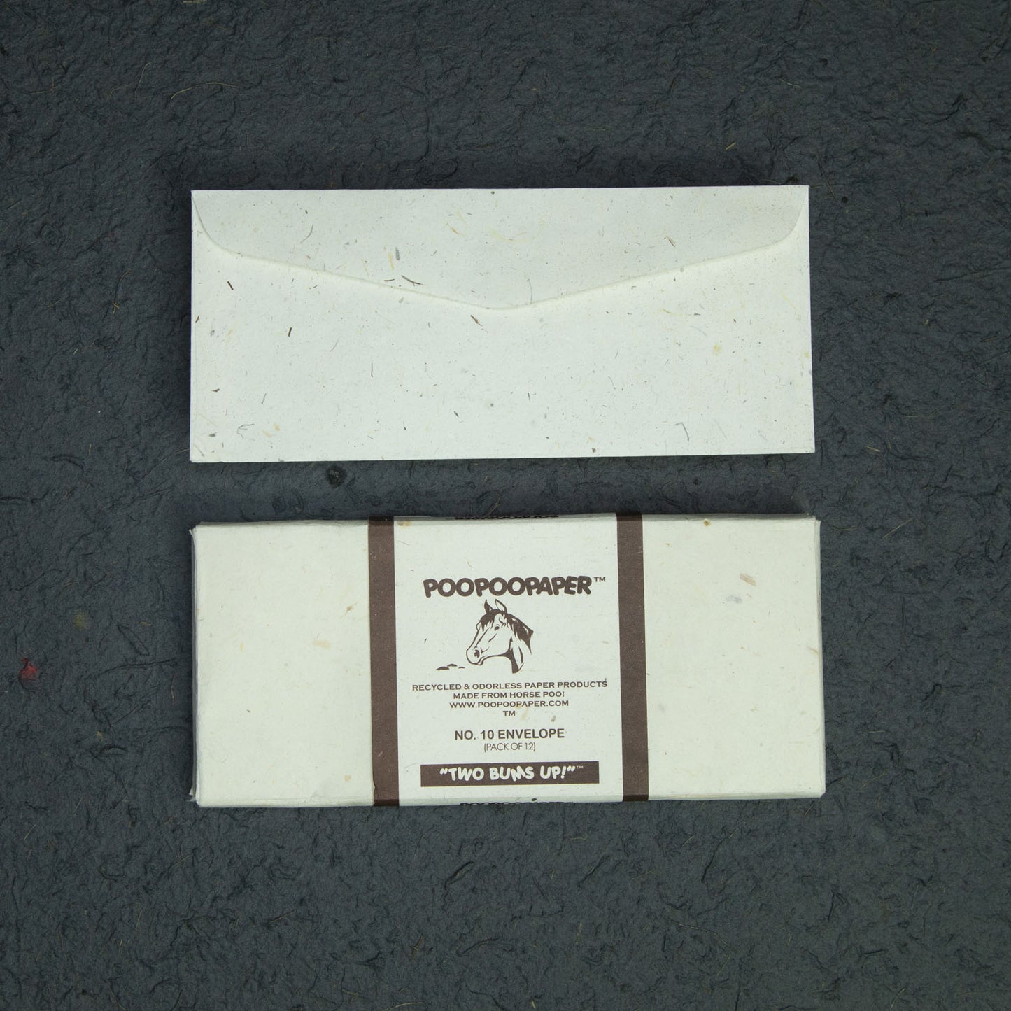 Horse POOPOOPAPER - No.10 Size handmade Envelopes