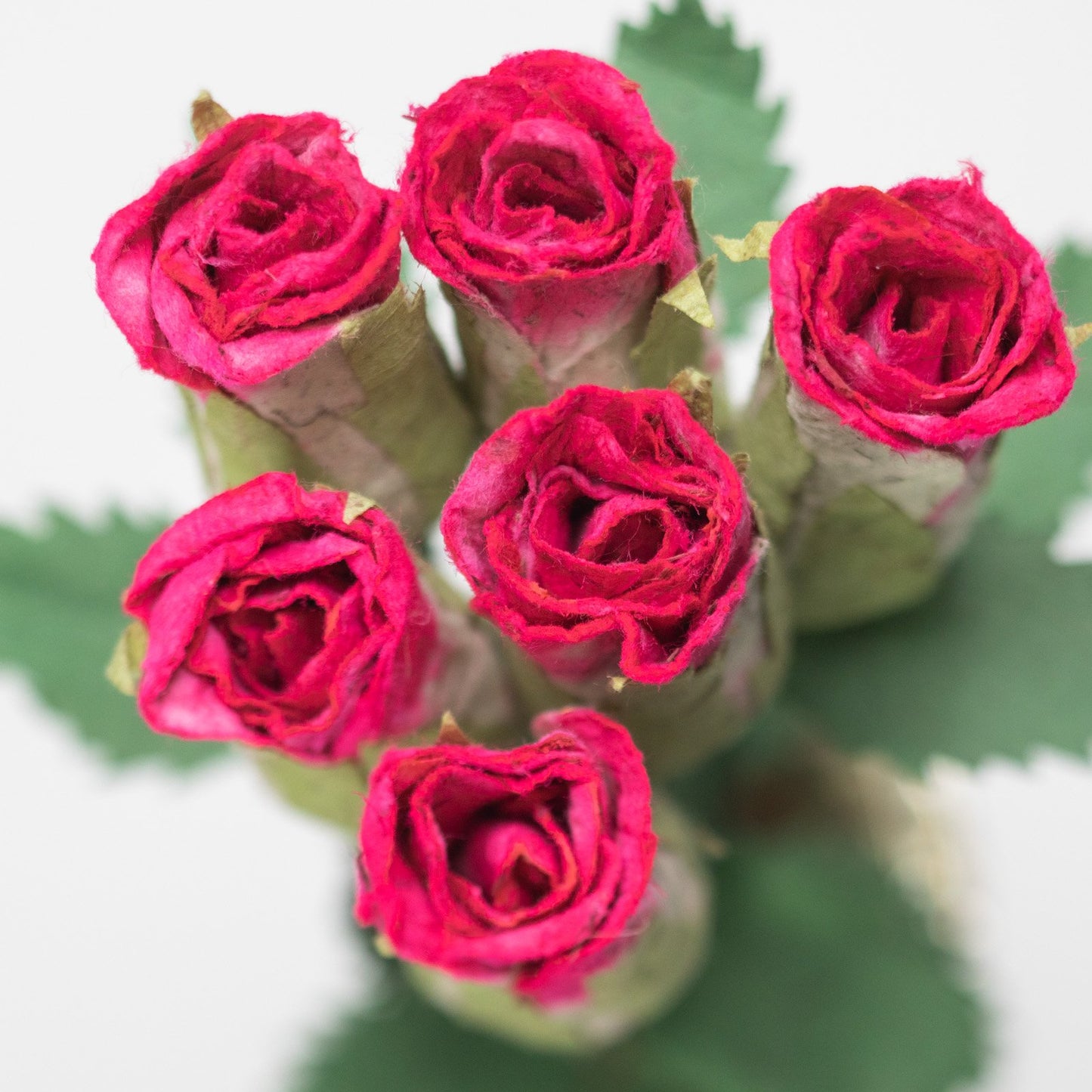 paper flower Bouquet of Six Pink Eco-Friendly, Sustainable, POOPOOPAPER Roses - Top View