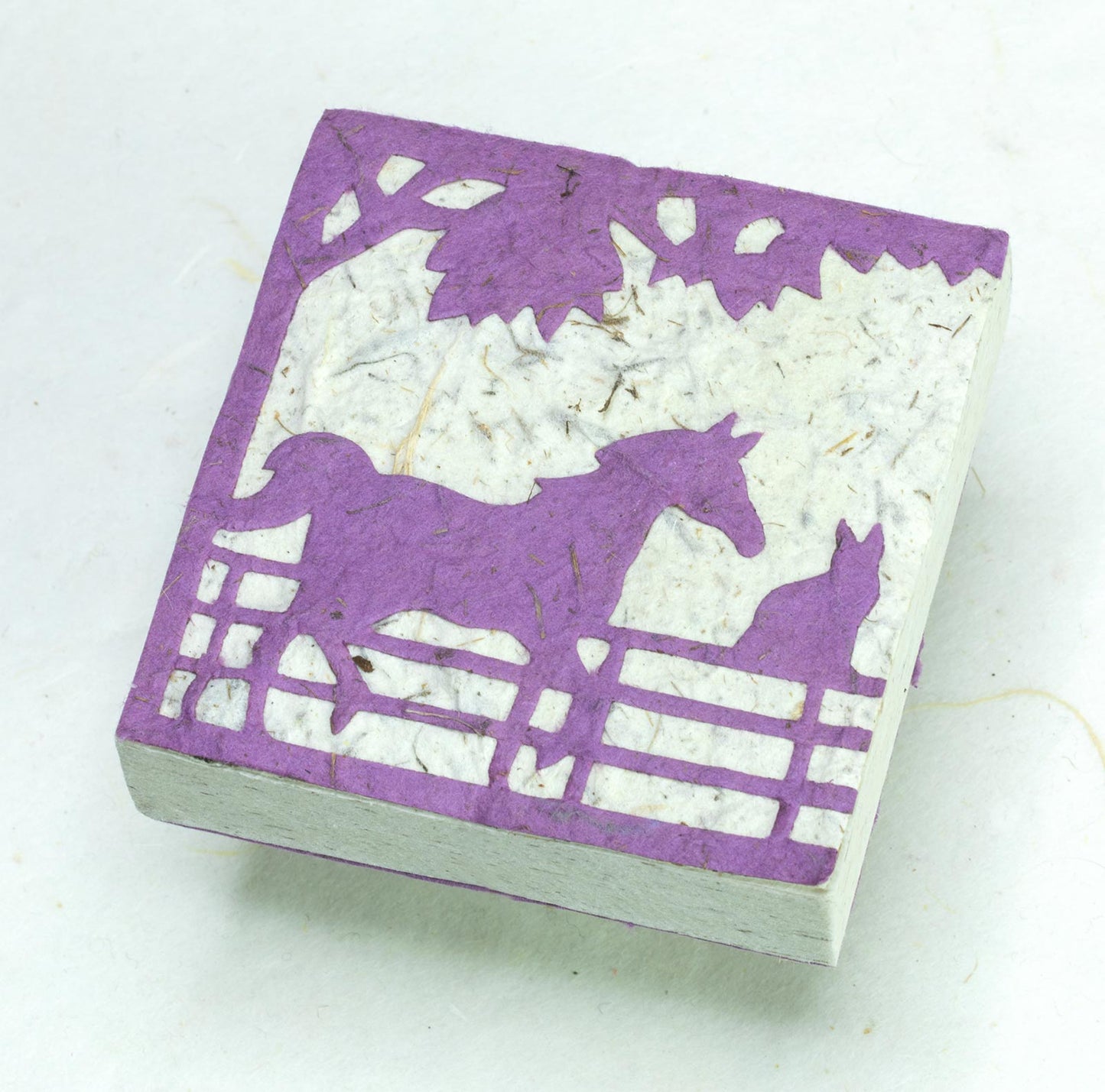 On The Farm - Horse & Cat - Purple - Eco-friendly Scratch Pads (Set of 3) - front