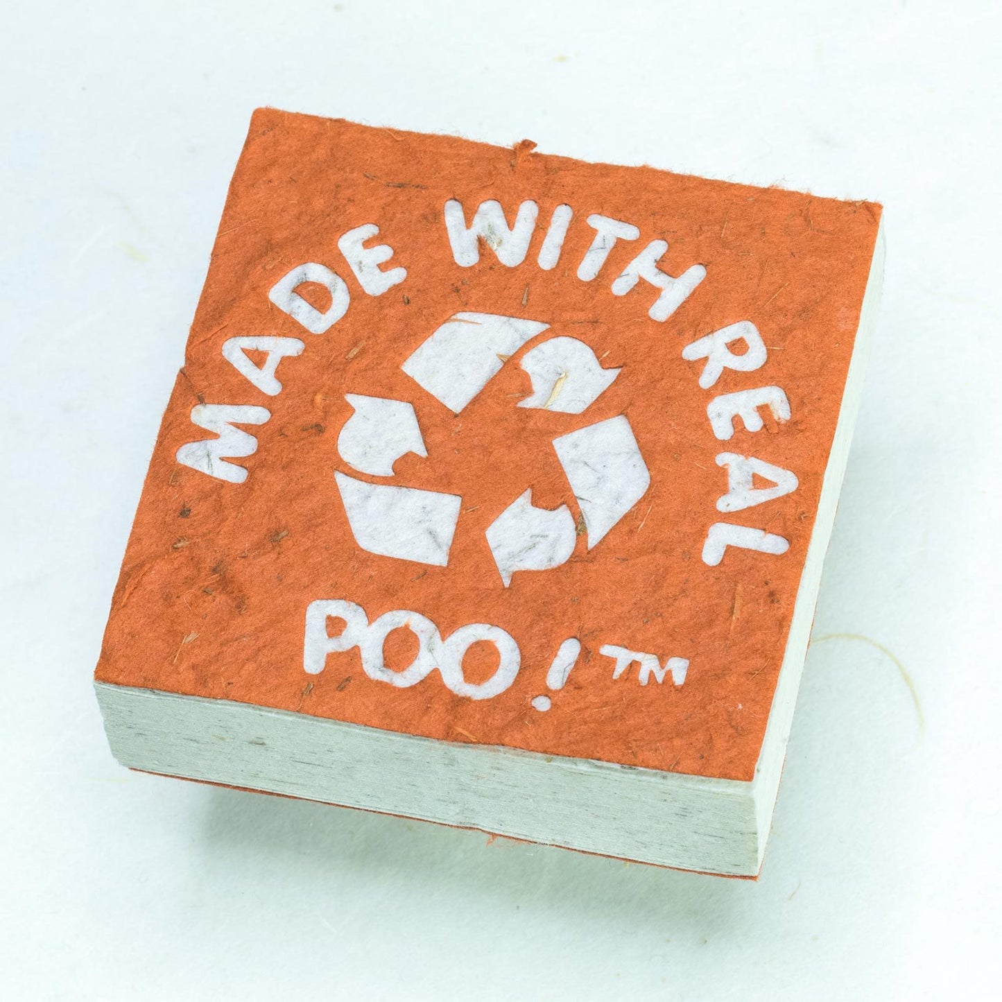 Made With Real Poo! - Cow - POOPOOPAPER - Orange - Eco-friendly Scratch Pads (Set of 3) - front
