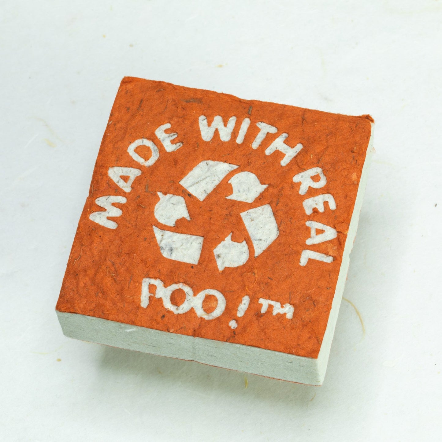 Made With Real Poo! - Horse POOPOOPAPER - Orange - Scratch Pad (Set of 3) - front