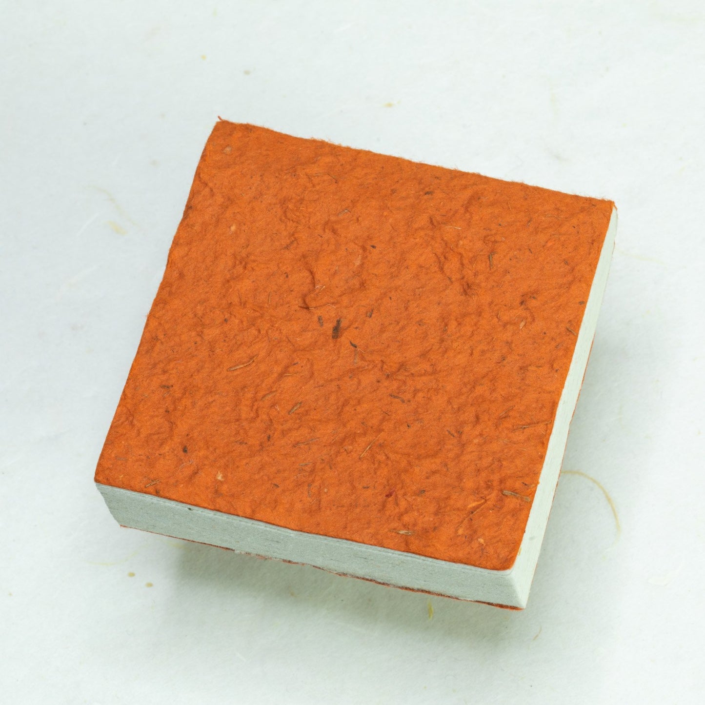 Made With Real Poo! - Horse POOPOOPAPER - Orange - Scratch Pad (Set of 3) - back