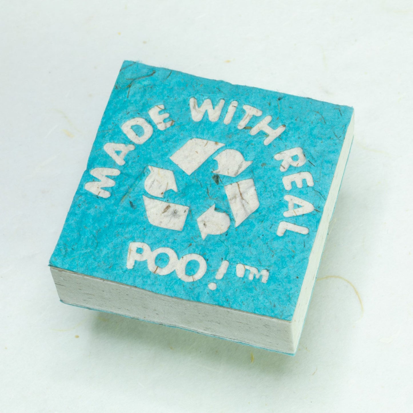 Made With Real Poo! - Horse POOPOOPAPER - Turquoise - Scratch Pad - Front