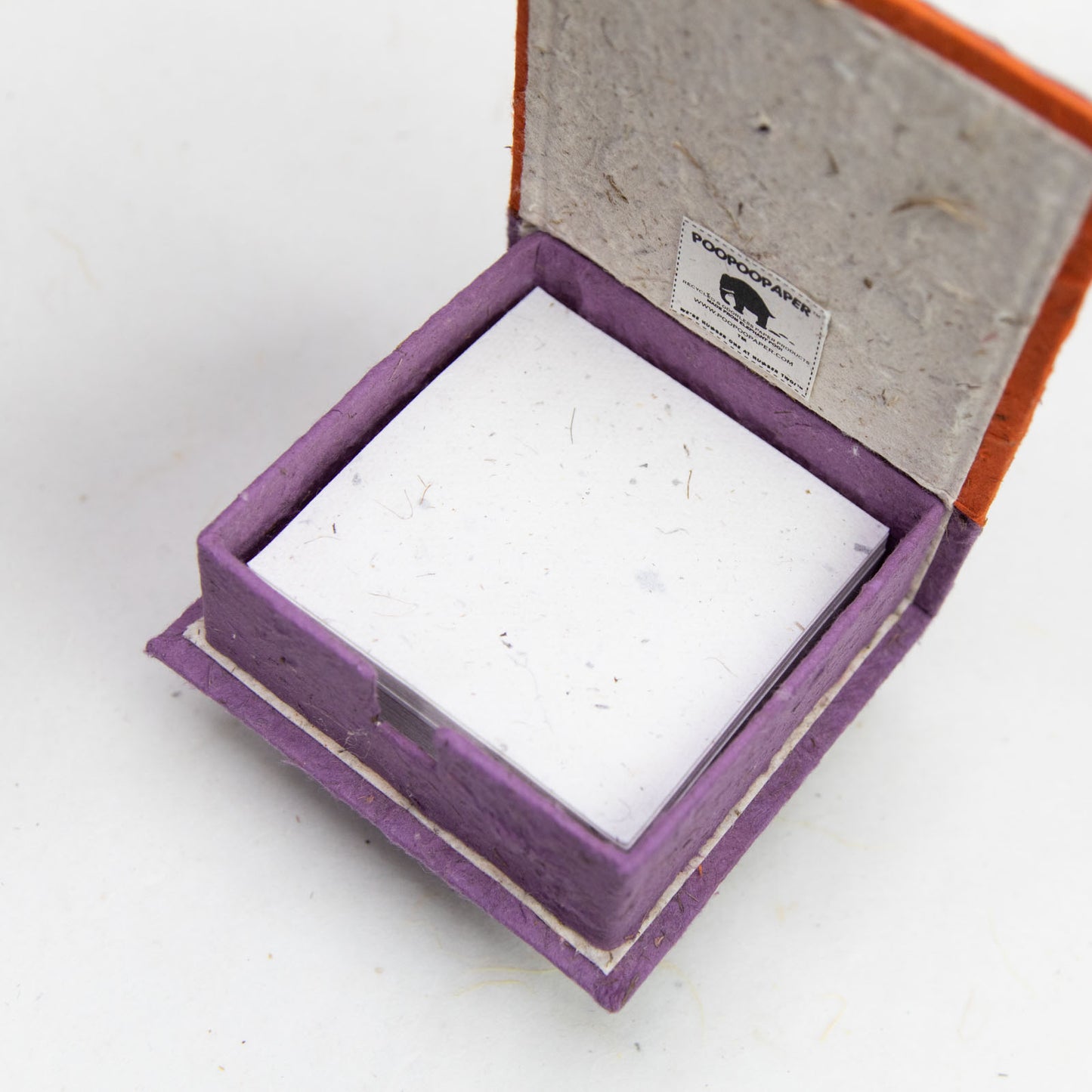 Savannah Sunset - Lion - Eco-friendly Note Box - interior