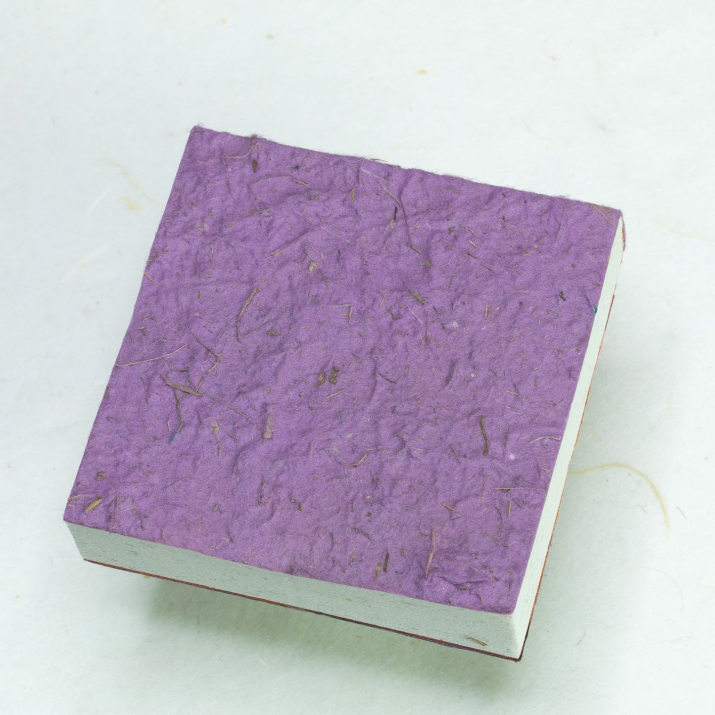 Savannah Sunset Eco-friendly Scratch Pads - Lion - Purple - Set of 3 - back