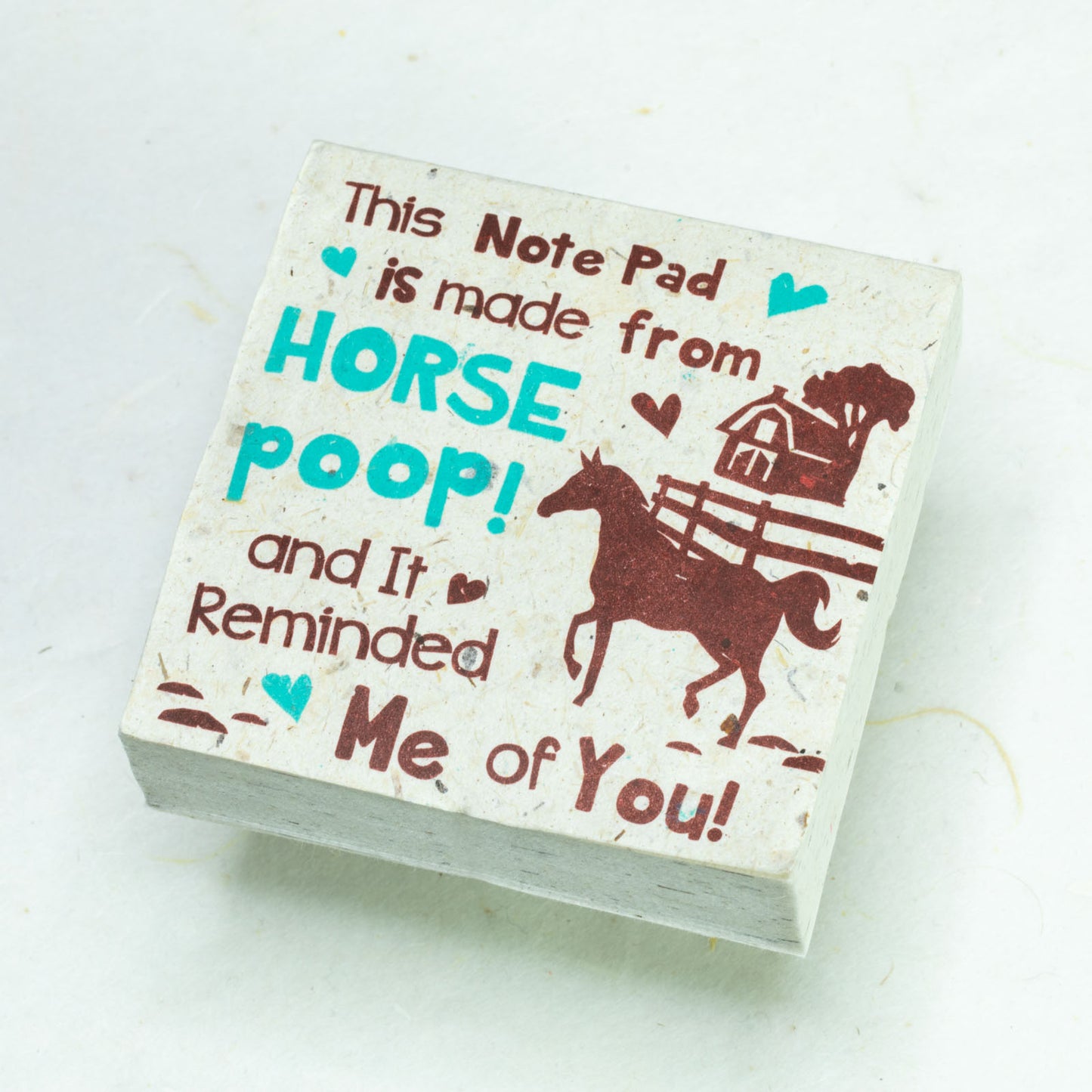 Eco-Friendly, Tree-Free POOPOOPAPER - Reminded Me of You - Horse Scratch Pad - Set of 3 - Blue - Front