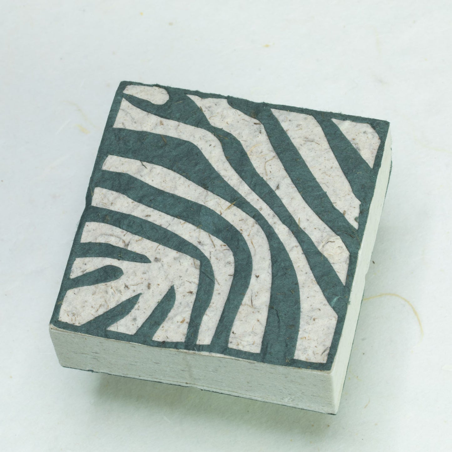 Jungle Safari - Zebra Eco-friendly Scratch Pads - Set of 3 - front