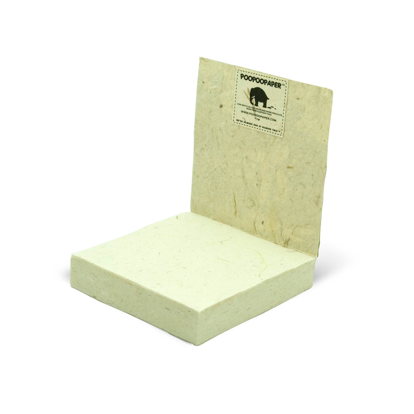 Jungle Safari - Zebra Eco-friendly Scratch Pads - Set of 3 - open