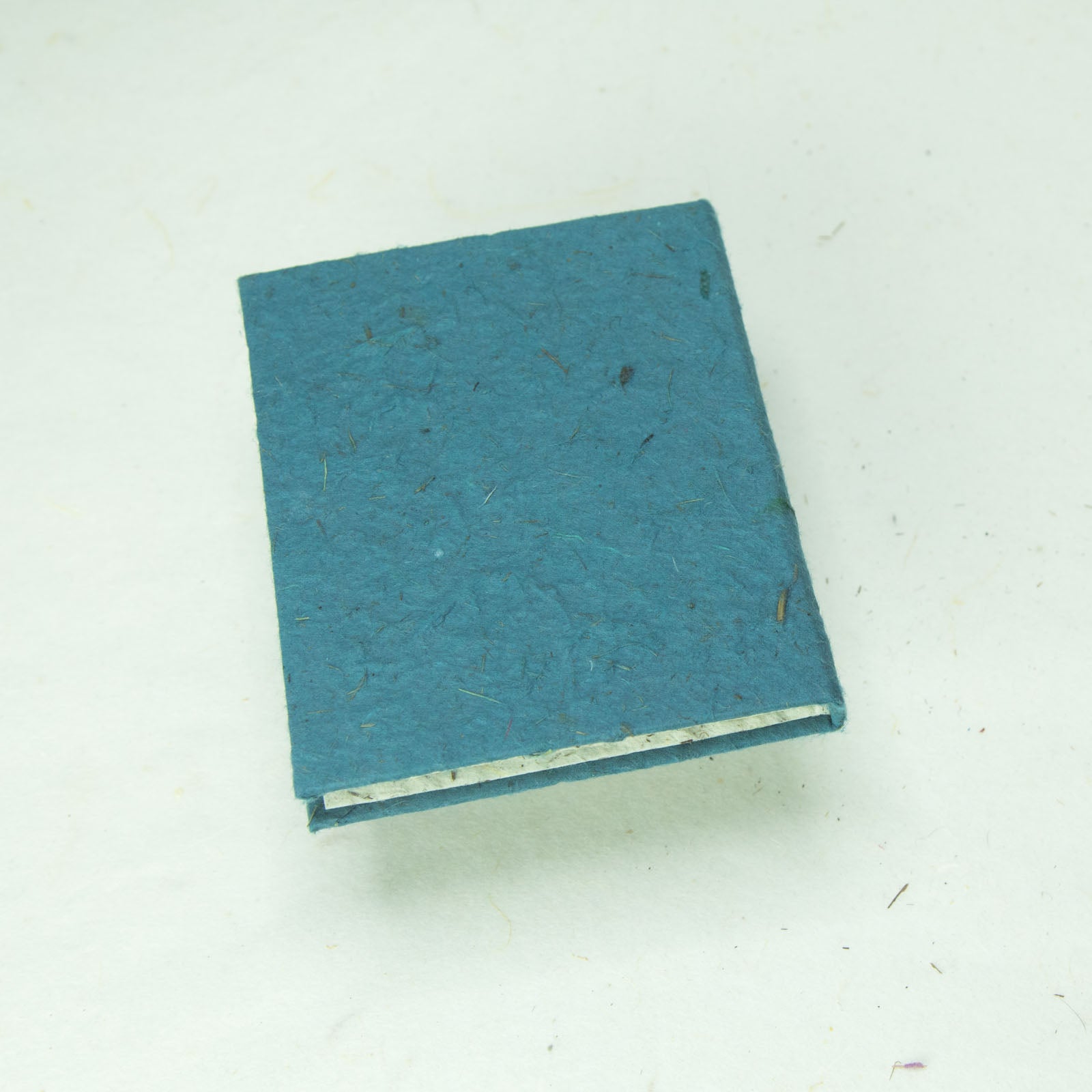 Classic POOPOOPAPER mini eco-friendly journals and notebooks blue detail back