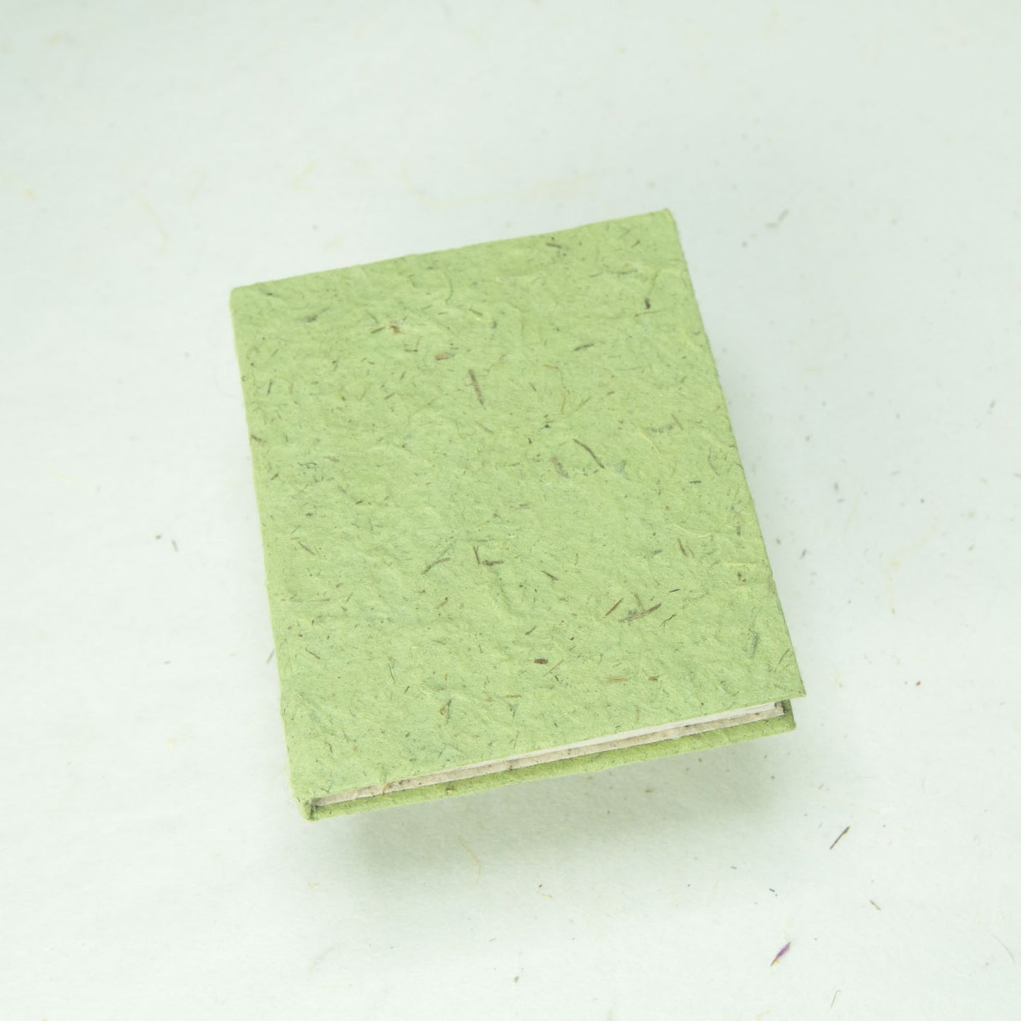 Classic POOPOOPAPER mini eco-friendly journals and notebooks grass front