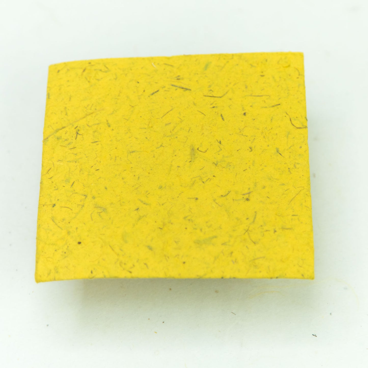 eco-friendly envelope yellow back