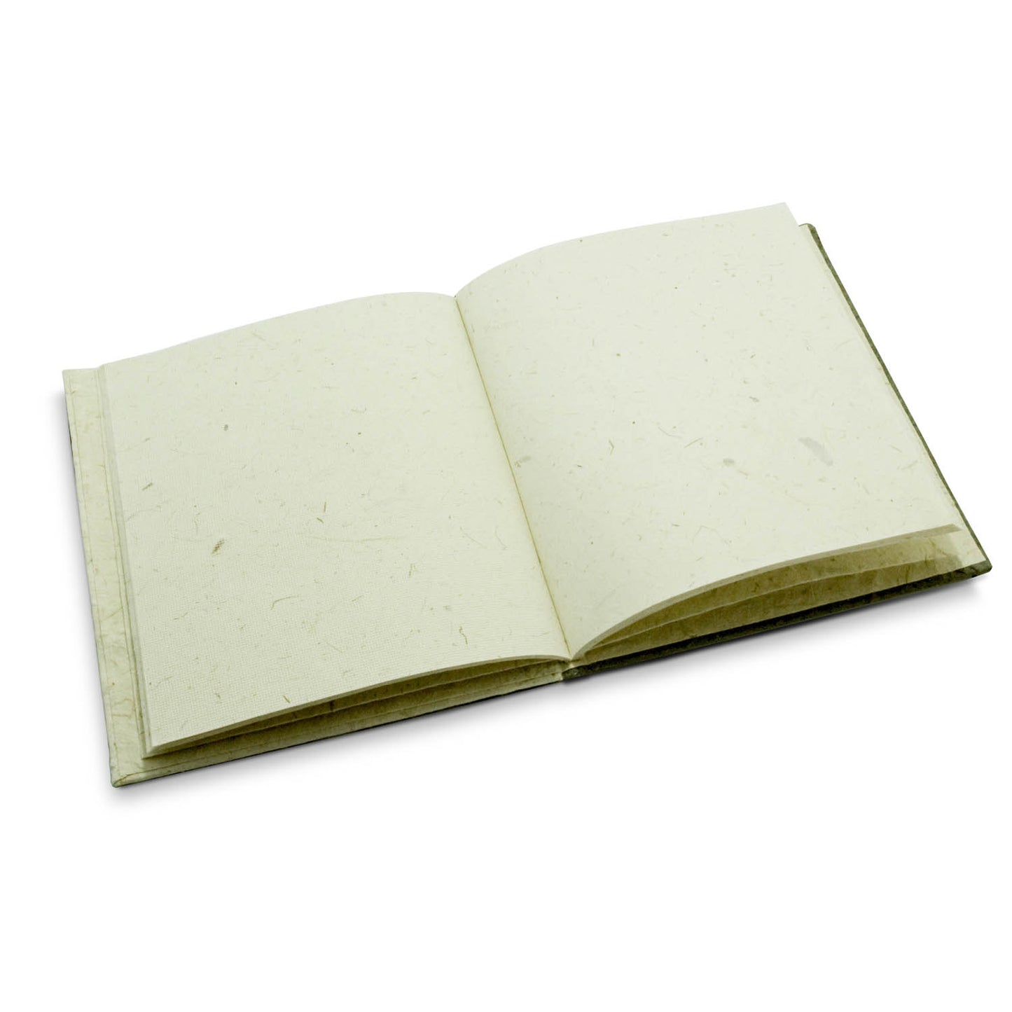 Jungle Safari - Zebra Eco-friendly Journal inner page 2