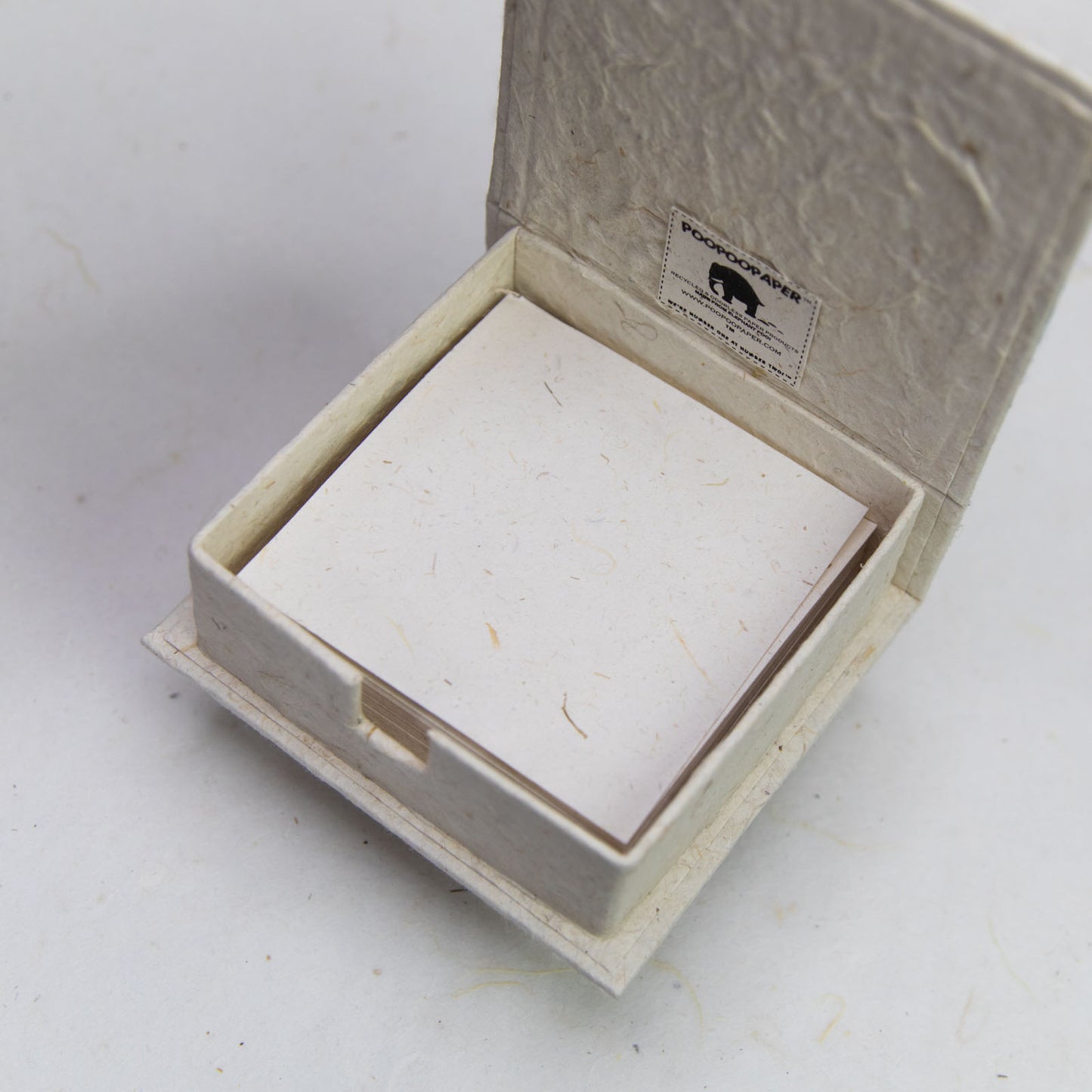 Sea-Life - Seahorse - Eco-friendly Note Box - interior